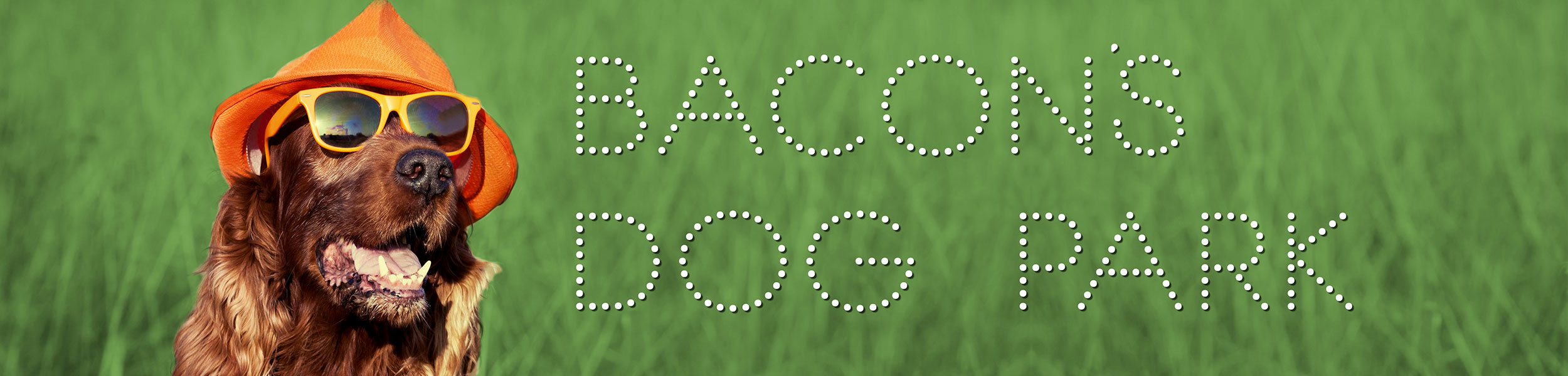 BaconsDogPark1