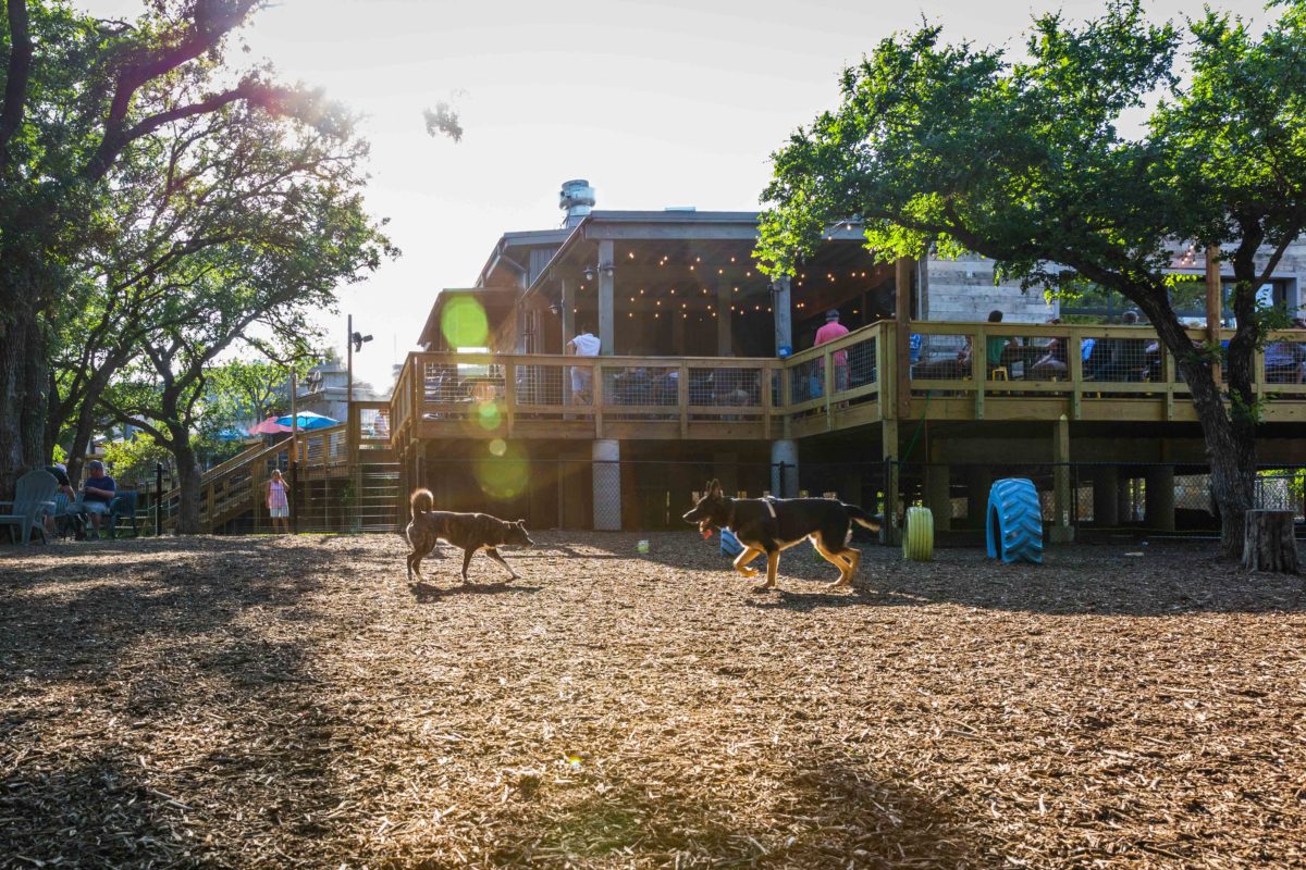 Shacks Drinks. Dining. Dog Park.